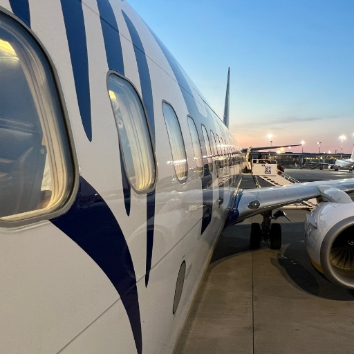 Инструкция Ryanair: онлайн-регистрация, сроки чек-ина, получение посадочного талона, правила документов и виз для путешествия.
